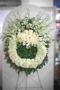 IMG_8368A.jpg