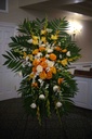 IMG_8556.jpg