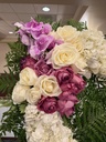 IMG_8562b.jpg