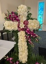 IMG_8568c.jpg
