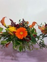 thumbnail_IMG_2069.jpg