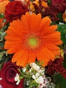 thumbnail_IMG_2084.jpg