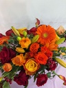 thumbnail_IMG_2056.jpg