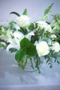 IMG_8421.jpg