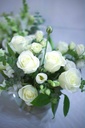 IMG_8424.jpg