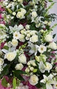 thumbnail_IMG_2196.jpg