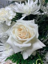 thumbnail_IMG_3146.jpg