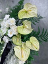 thumbnail_IMG_3136.jpg