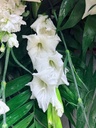thumbnail_IMG_3148.jpg