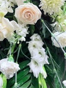 thumbnail_IMG_3147.jpg