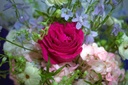 IMG_8539.jpg