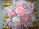 Petal #6